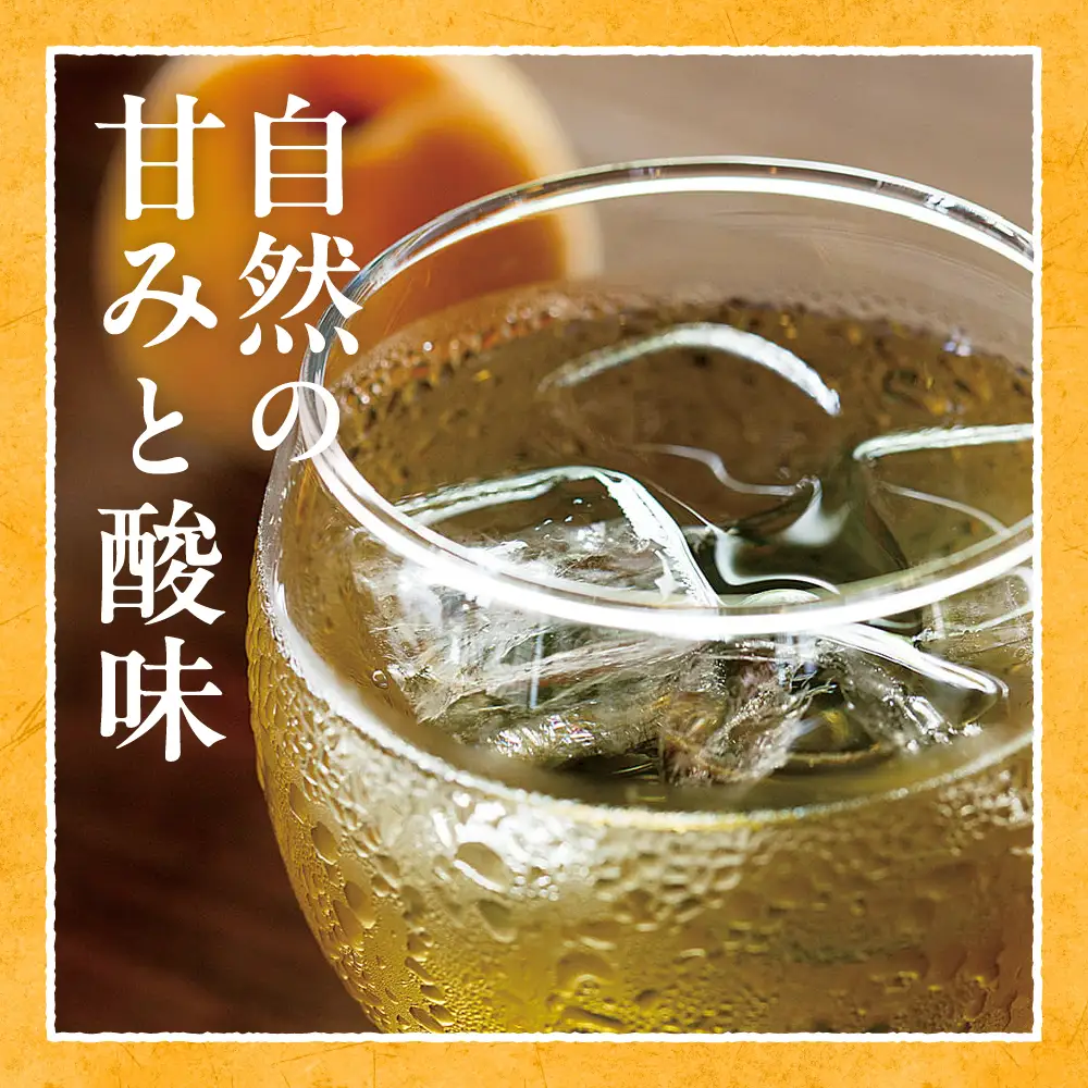 梅シロップ 「 梅しづく 」 290ml×8袋 (3から5倍希釈) 梅