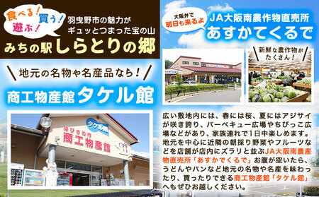 CHOYA 酔わない ウメッシュ ノンアルコール 350ml × 24本 羽曳野商工振興株式会社《30日以内に出荷予定(土日祝除く)》|ウメッシュウメッシュウメッシュ