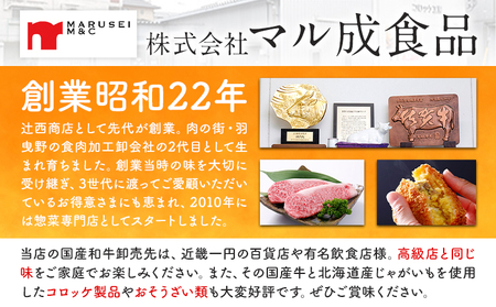 プレミアム和牛ハンバーグ 5個入