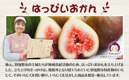 大阪いちじくプリン 100g×5個入り