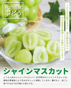 SB0905　シャインマスカット　1.5kg以上(3房) 化粧箱入