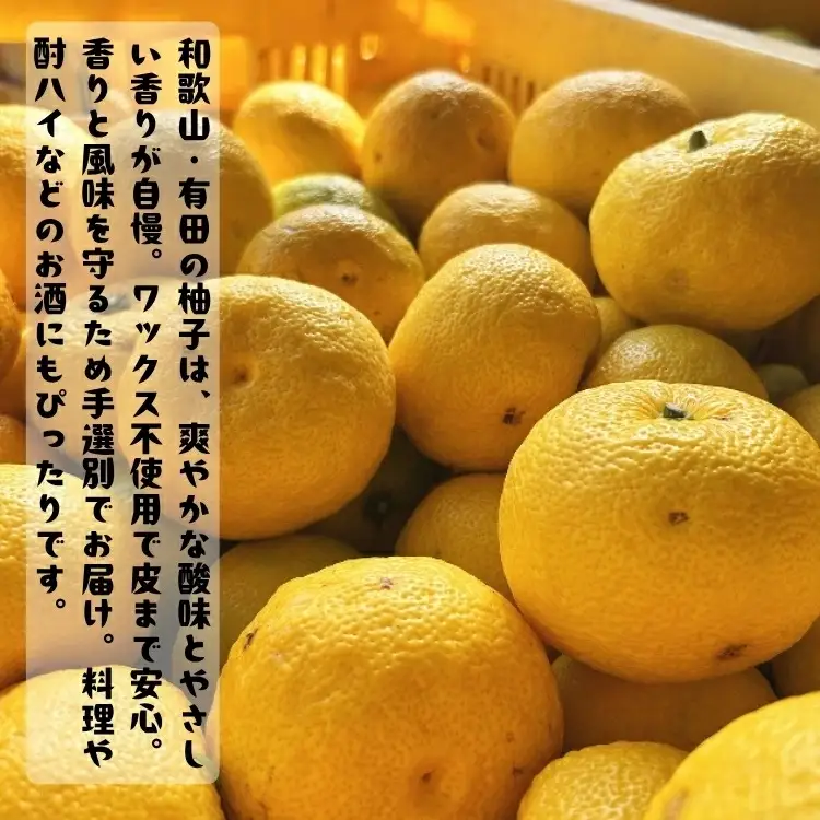 【先行予約】 国産 紀州 和歌山 家庭用 訳あり 柚子（ゆず）2kg+200g(傷み補償分) / くだもの 果実 柑橘 果物 フルーツ 有田 ※2026年10月下旬～2027年1月下旬頃に順次発送 ※北海道・沖縄・その他離島地域は発送不可【ard041-c-2A】
