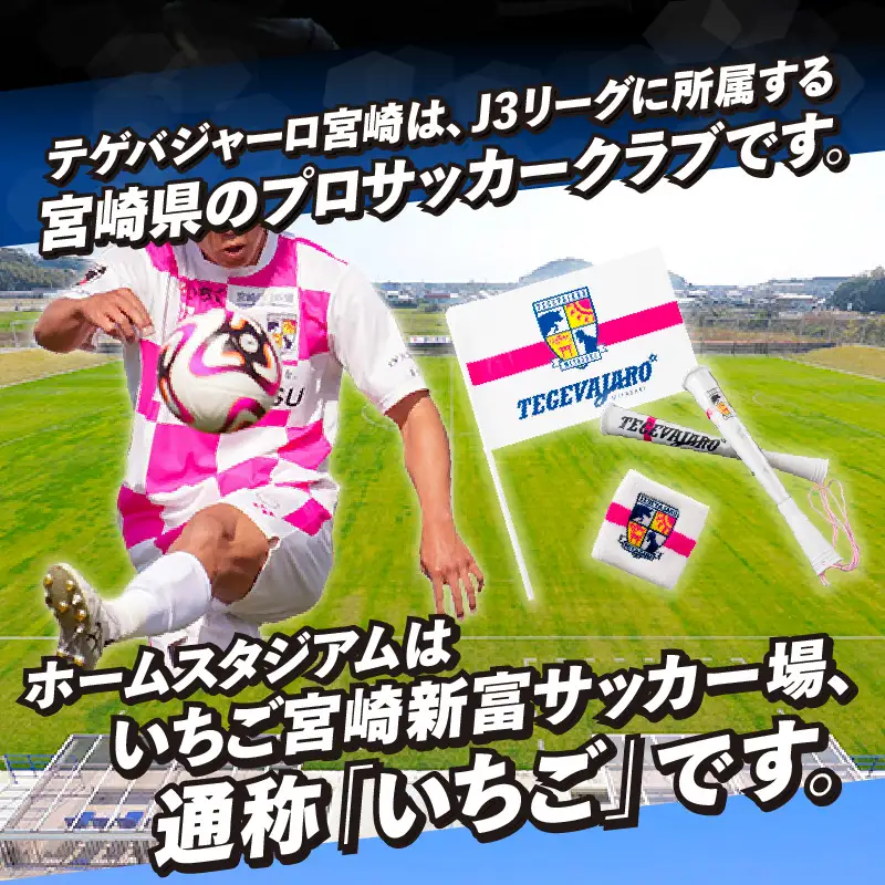 テゲバジャーロ宮崎　応援グッズ3点セット テゲバ 応援 グッズ