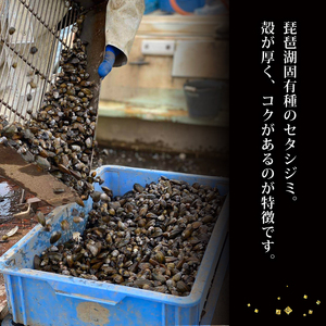 びわ湖産天然 しじみ味噌汁 20食入 ＜あゆの店きむら＞