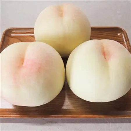 岡山県産「清水白桃」約3kg|7月中旬頃～順次発送【配送不可地域：離島】【1488992】