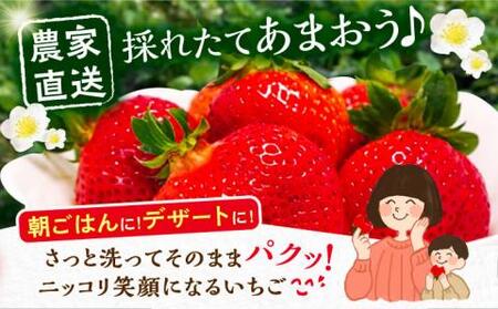 【先行予約】【2月-4月発送】農家直送 あまおう 厳選デラックスG 540g(270g以上×2P) 土耕栽培[VAB015]