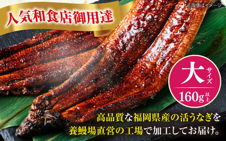 国産うなぎ蒲焼 大5尾 800g[VAD004] 鰻 鰻