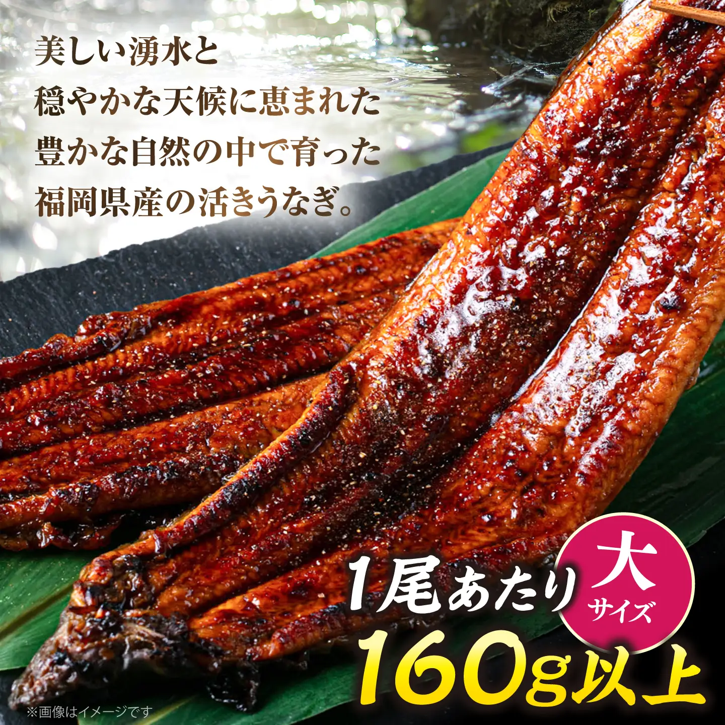 【全6回定期便】福岡県産 うなぎ 蒲焼 大5尾 合計 800 g（1尾あたり 160g以上）[VAD018] 国産 うなぎ
