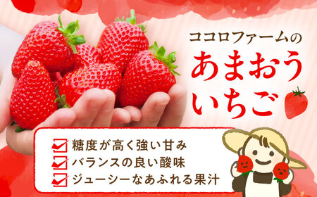 【先行予約】ココロファームの濃厚あまおう 270g×2パック[VAE007]あまおう