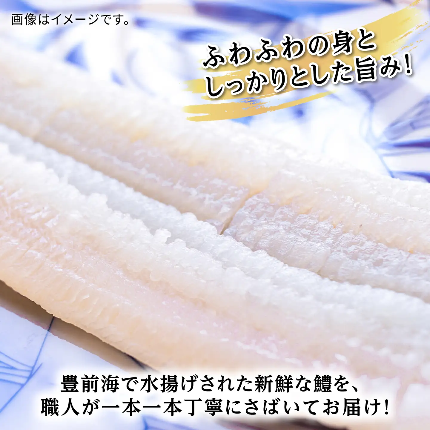獲れたて直送！ハモ 一本 約1.2kg (4~5人前)魚 鱧 はも 刺身 [VAL001]