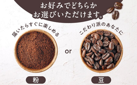【全12回定期便】ブルーマウンテン NO.1 コーヒー ( 浅煎り ) [VAS151] 珈琲 コーヒー 
