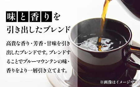 【全12回定期便】ブルーマウンテン NO.1 ブレンド コーヒー ( 浅煎り )[VAS169] 珈琲 コーヒー 