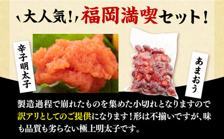 【訳あり】辛子明太子 小切れ 500g（100g×5P）& 冷凍あまおう 800gセット[VBB019]