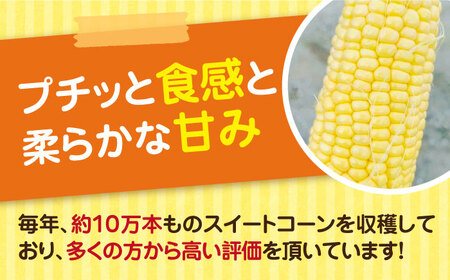 【先行予約 2026年6月頃より順次発送】農家直送 朝どれ スイートコーン 約4kg 9-12本入 [VBC001] 野菜 コーン とうもろこし