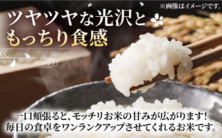 【R8年産】夢つくし 10kg 新米 [VBC003] 白米 10kg×1袋