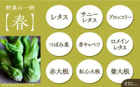 【全6回定期便】農家が選ぶ！ 旬の新鮮野菜セット[VBE009]産直 野菜 やさい 詰め合わせ