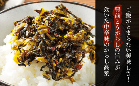 からし高菜120g×6個セット[VBG004]【株式会社瑞穂】
