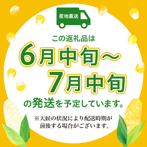 洋菓子素材工房ぴゅあハウス 【品種 スーパーホワイトコーン】白色 とうもろこし 箱込み 約5kg 9本～13本≪6月中旬ごろより順次発送開始≫ キャンプ飯 BBQ 生 野菜 冷蔵発送 送料無料 広島県 呉市 ku156-005-r