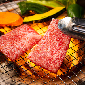 宮崎牛ウデ焼肉　４００ｇ　＆　宮崎県産黒毛和牛小間切れ　１００ｇ