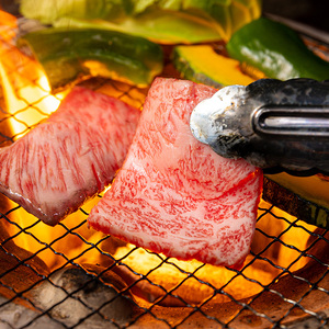 宮崎牛肩ロース焼肉　３００ｇ　＆　黒毛和牛小間切れ　１００ｇ