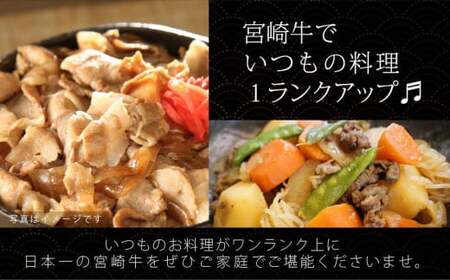 宮崎牛　切り落とし　６００ｇ（３００ｇ×２）