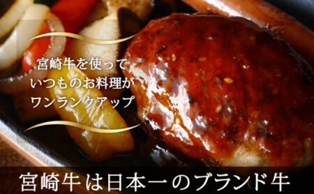 宮崎牛　こま肉＆ミンチセット＜合計１㎏＞（こま肉４００ｇ・ミンチ６００ｇ）