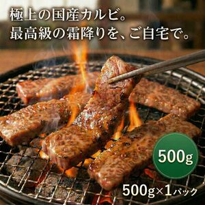 宮崎牛　カルビ焼肉　５００ｇ