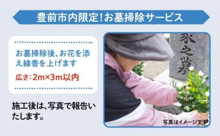 【豊前市内限定】お墓掃除 広さ2ｍ×3ｍ以内[VBO008]