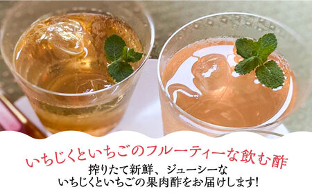 【全3回定期便】＜いちじく美人・いちご美人＞ 飲む酢 2本 セット[VBW020]地産 福岡 万能 調味料 酢