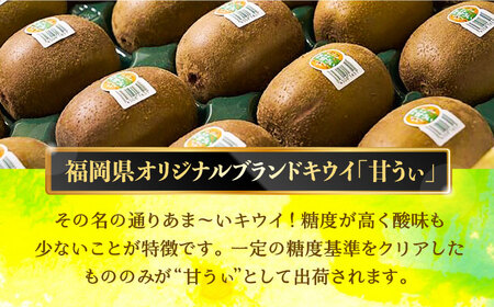 【先行予約】キウイ「 甘うぃ (あまうぃ)」約1.5kg箱(12-15玉)[VBY004] キウイ
