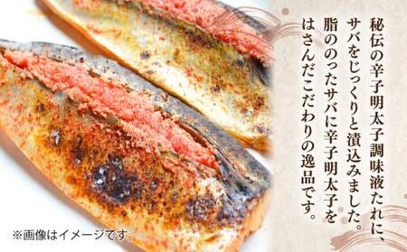 【全6回定期便】さば明太 大容量16枚 秘伝の辛子明太子 液たれ仕込み[VCL073]