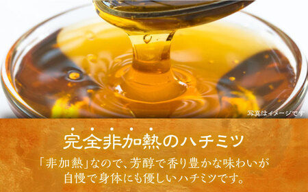 日本ミツバチの蜂蜜(ギフトセット150g×2本)[VCM001] 蜂蜜 はちみつ ハチミツ