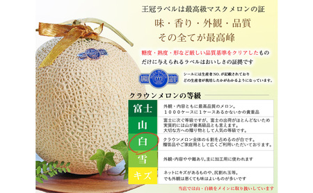 【奇数月6ヶ月 定期便】クラウンメロン並【白等級】1.3kg前後　3玉入り 