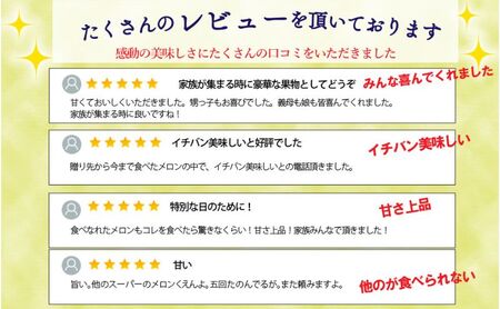 【12ヶ月定期便】クラウンメロン並【白等級】1.3kgぜんご　2玉入り 