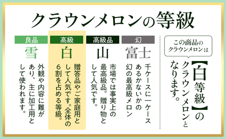 クラウンメロン 白等級 1.1kg前後 1玉入り 果物類 メロン青肉 