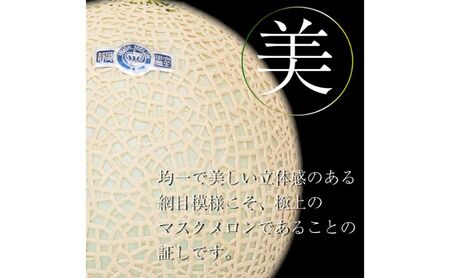 【12ヶ月定期便】クラウンメロン【並（白等級）】小玉（1.1kg前後）6玉入り 