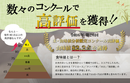 三重県産 山本農産のお米（コシヒカリ）の定期便 5kg×6回 yn6