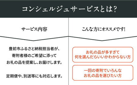 【あなただけの特別プラン】豊前市 コンシェルジュ 寄附額 150万円 コース おすすめ おまかせ 定期便 [VZZ003]