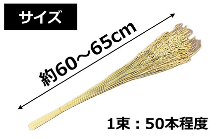 コシヒカリの稲穂 飾り素材 インテリア用[Y0004]