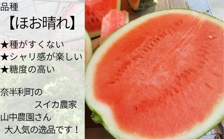 103001　山中農園のスイカ　1玉