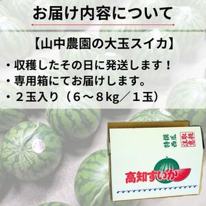 103002　山中農園のスイカ　2玉