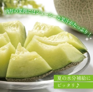 SB0908　庄内砂丘の旬夏 「秀品 青肉メロン」　7kg以上(4～6玉入)