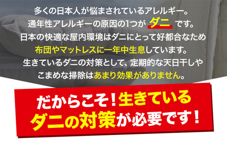ダニ 対策 ダニ取り パック ブラックホール 10個