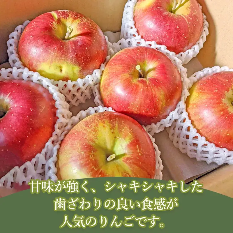 【令和8年産先行予約】　山形県鶴岡産 りんご シナノスイート　約3kg（7～12玉）　庄内産直センター　| リンゴ 林檎 フルーツ 果物 くだもの 旬 産地直送 期間限定 人気 美味しい お取り寄せ 庄内 東北 返礼品