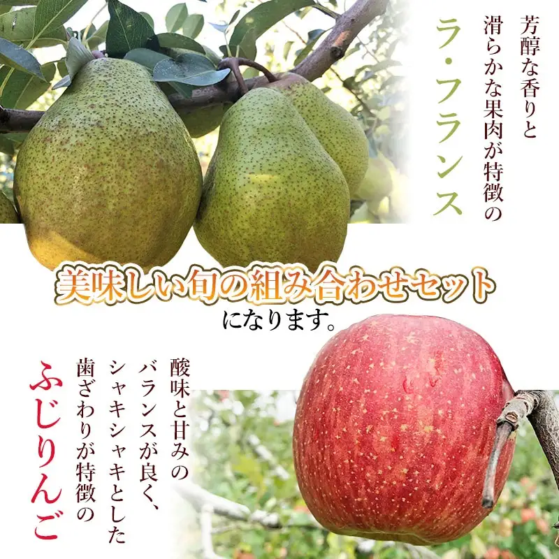 【令和8年産先行予約】ラ・フランス＆ふじりんごセット　約3kg（10～12玉入）　山形県鶴岡市　庄内産直センター　| ラフランス 洋梨 洋なし りんご 林檎 リンゴ 果物 くだもの フルーツ 旬 期間限定 産地直送 人気 美味しい お取り寄せ 庄内 東北 返礼品