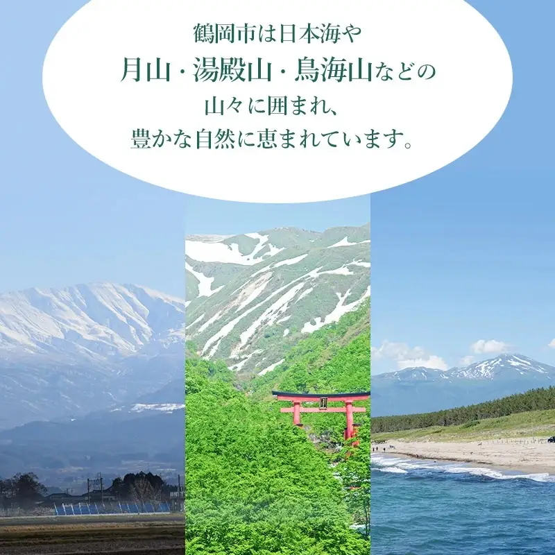 【令和8年産先行予約】山形県鶴岡産　桃　約2kg（5～11玉） あかつき or 川中島 どちらか1品種　庄内産直センター　| もも モモ 果物 くだもの フルーツ 旬 産地直送 期間限定 甘い 人気 美味しい お取り寄せ 庄内 東北 返礼品