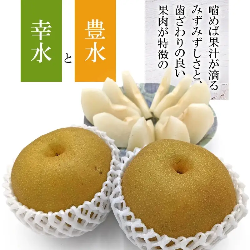 【令和8年産先行予約】山形県鶴岡産　和梨 幸水or豊水　秀品　約3kg 2L以上（5～8玉入）どちらか1品種　庄内産直センター　| 梨 なし ナシ 3キロ 果物 くだもの フルーツ 旬 期間限定 甘い みずみずしい 人気 美味しい お取り寄せ 庄内 東北 返礼品