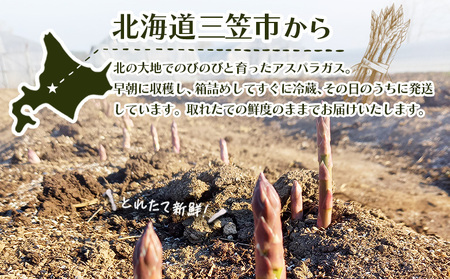 【先行受付】のみやまファームのグリーンアスパラガス（Ｍ～２L以上）1kg【05004】