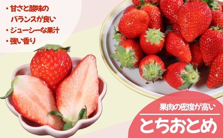 いちご とちおとめ やよいひめ 1kg×2パック 計2kg いちご 冷凍 | 千葉
