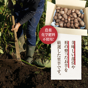 【2026年先行予約】◆◆2026年度収穫分◆◆ 「農家 農天氣がおくる」山梨県上野原市産 里芋 約5kg
